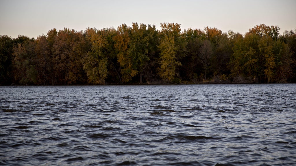 Watchdog says PFAS found in 100% of Minnesota water testing sites — WCCO / CBS Minnesota, Rosemount Health news