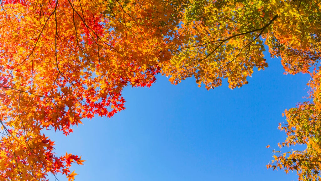 More near-record warmth Monday in Minnesota ahead of big cooldown — WCCO / CBS Minnesota, Rosemount Community news