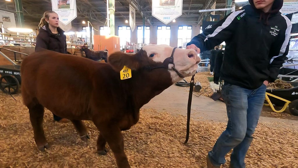 Spotlight on beef as Minnesota midterms near — WCCO / CBS Minnesota, Rosemount Community news