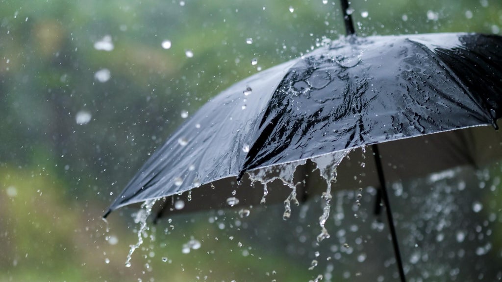 Widespread rain in Minnesota Monday; milder air returns Tuesday — WCCO / CBS Minnesota, Rosemount Community news