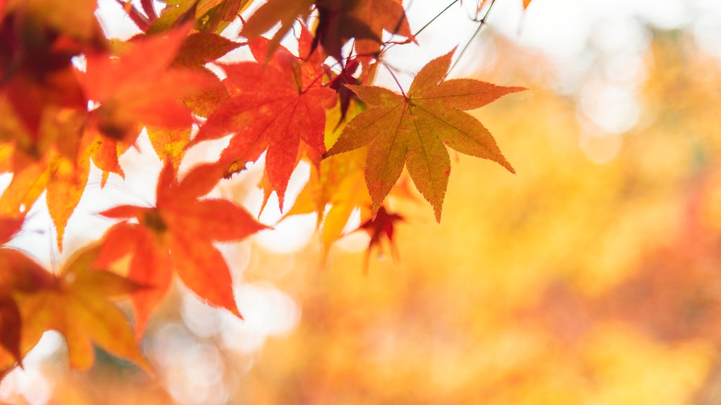 More sunny, mild late October weather in Minnesota Tuesday — WCCO / CBS Minnesota, Rosemount Business news