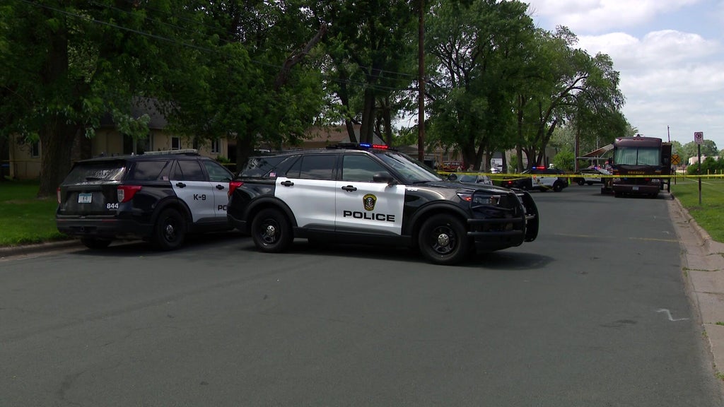 Man sentenced for killing cousin during fight in Bloomington driveway — WCCO / CBS Minnesota, Rosemount Community news
