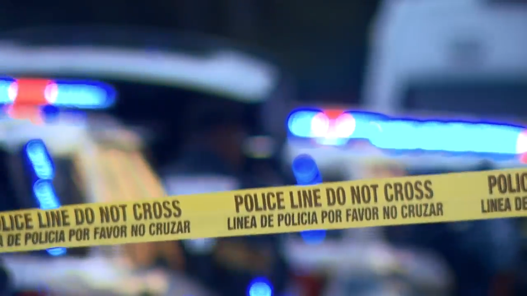 Man accused of stabbing, killing his own mother in Tamarac, BSO says — CBS Miami, Rosemount Health news