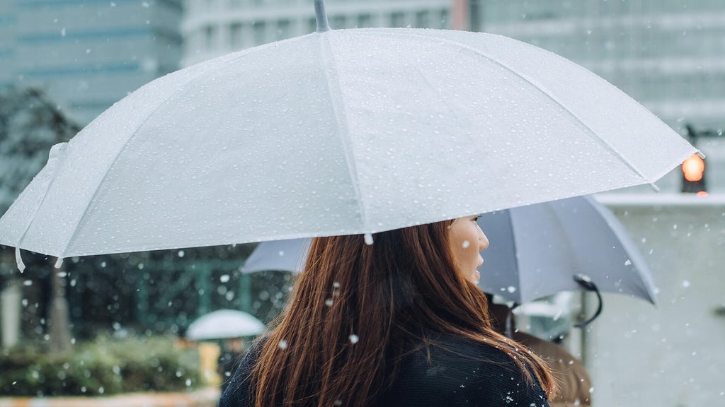 Soggy, chilly Thursday in the Twin Cities; season's first frost possible Saturday — WCCO / CBS Minnesota, Rosemount Sports news