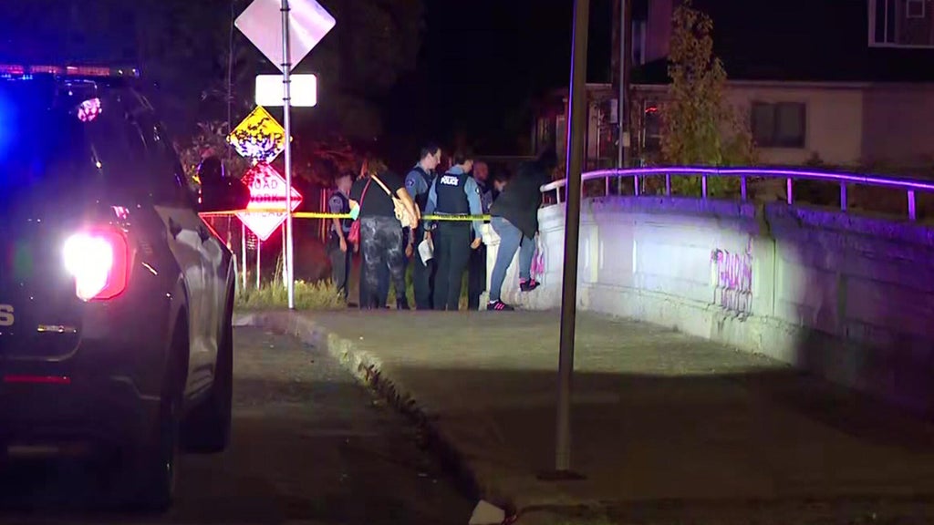 16-year-old boy fatally shot on Midtown Greenway in dispute over backpack, family says — WCCO / CBS Minnesota, Rosemount Community news