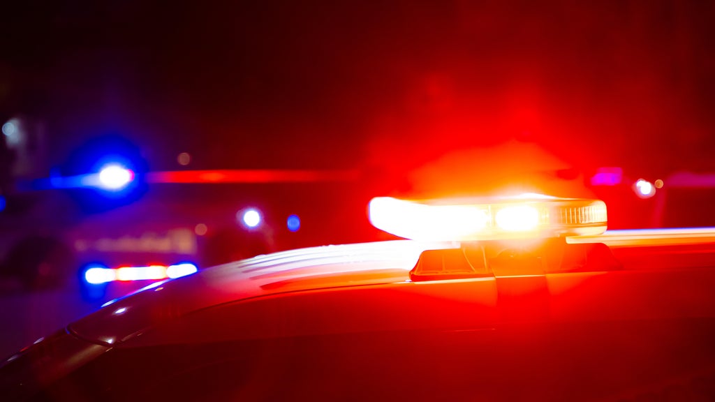 Driver killed in head-on collision with semi in central Minnesota — Rosemount Community news
