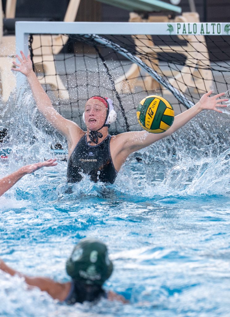 Wilcox Water Polo Caught in Vikings Rip Current — Silicon Valley Voice, Rosemount Sports news