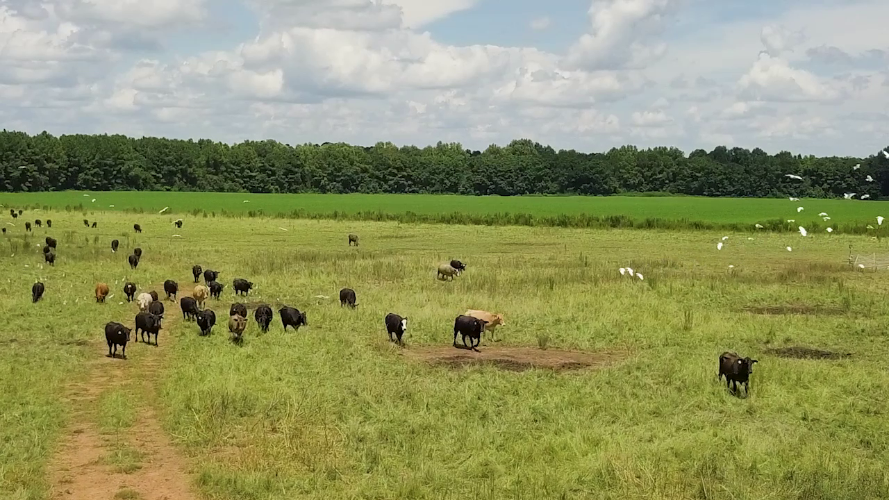 5 ON YOUR SIDE: Regenerative agriculture — KSTP 5