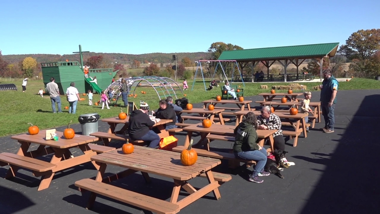 Outdoor festival in Columbia County brings together artists and businesses to connect with the community — WNEP 16 (Scranton/Wilkes-Barre), Rosemount Arts news