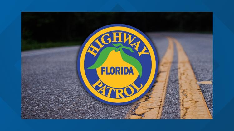 Pedestrian in critical condition after Sunday morning hit & run — First Coast News Local, Rosemount Community news