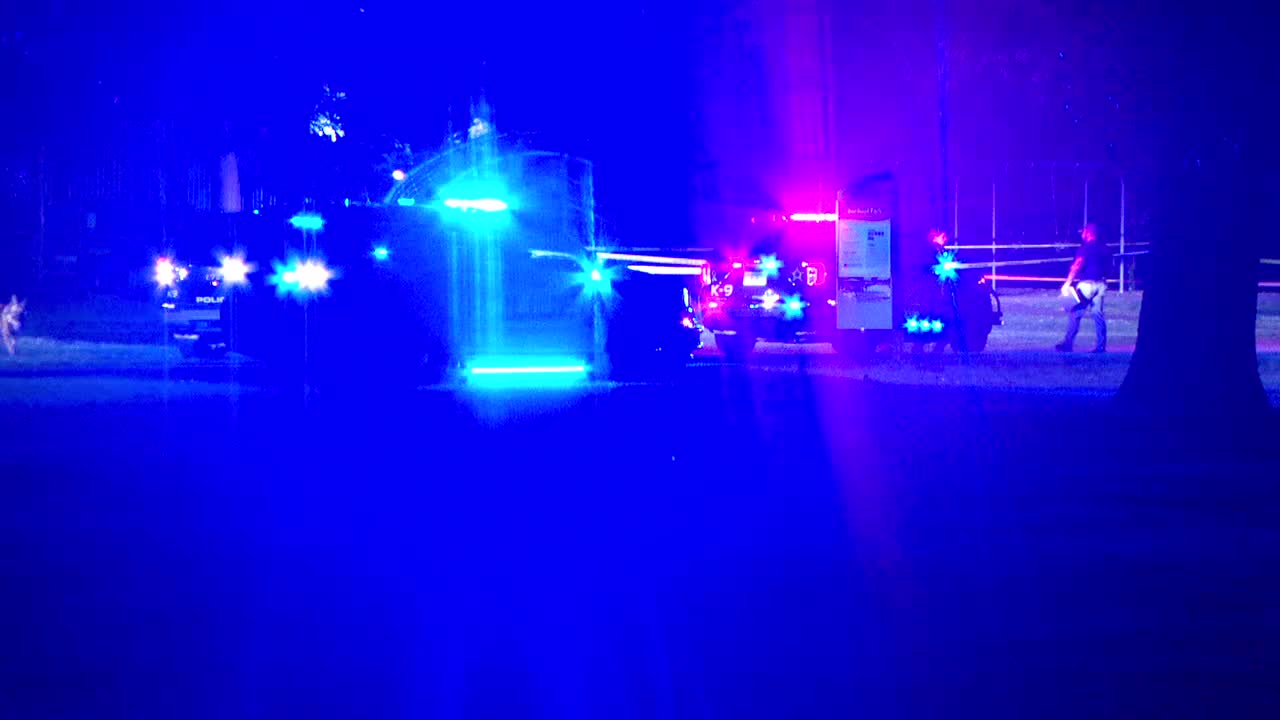 Brooklyn Park teen shooting suspect ordered to stand trial as adult — FOX 9, Rosemount Community news