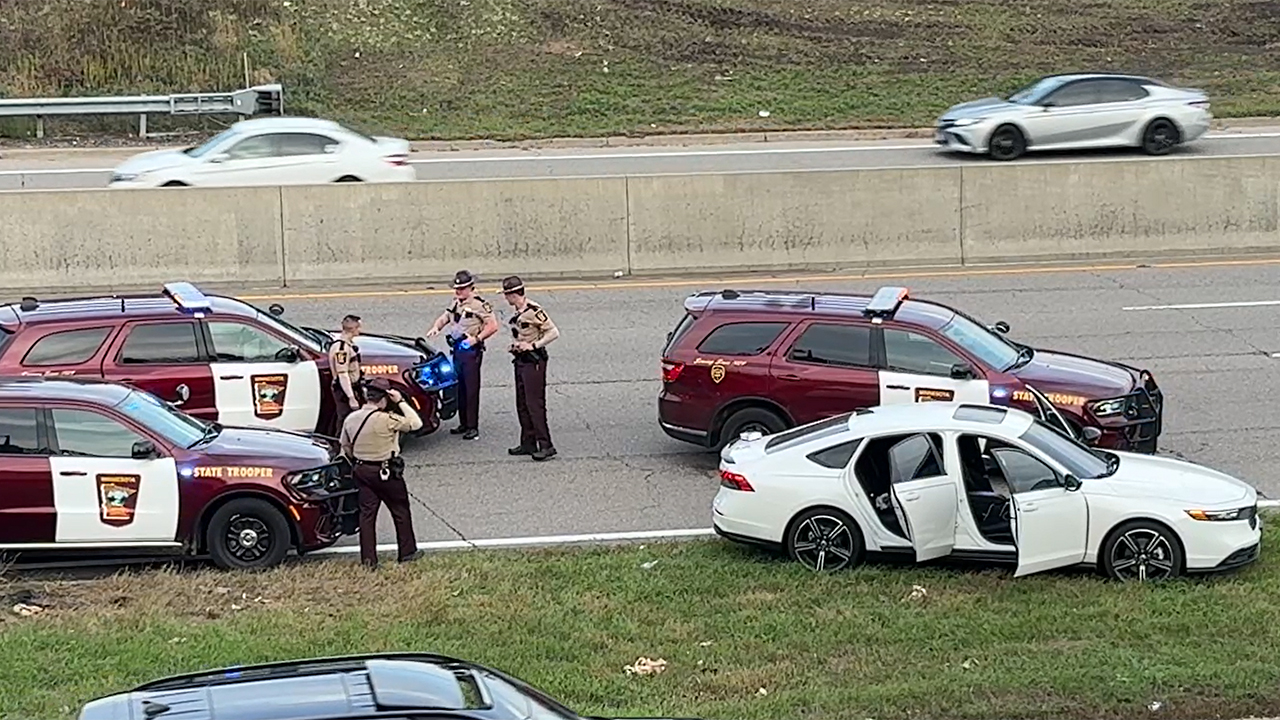 Man arrested in connection to St. Louis Park Highway 100 shooting — FOX 9, Rosemount Community news