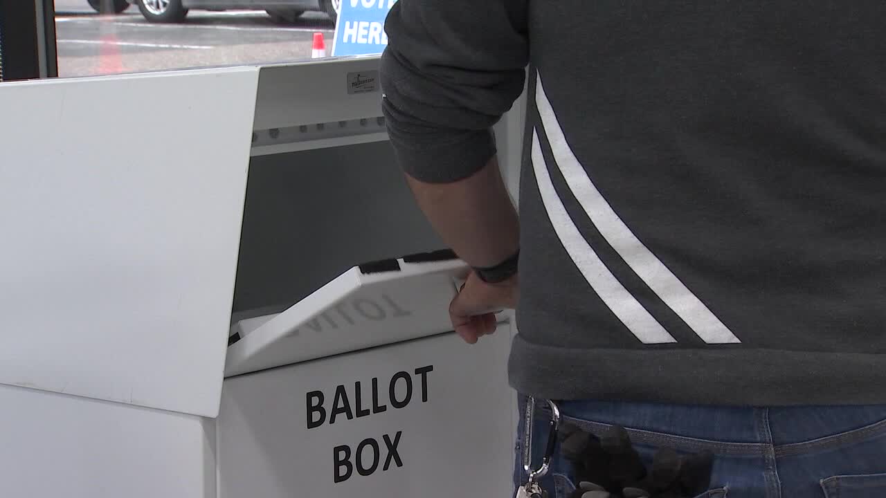Minnesota election 2026: How to vote and what’s on your ballot — FOX 9, Rosemount Community news