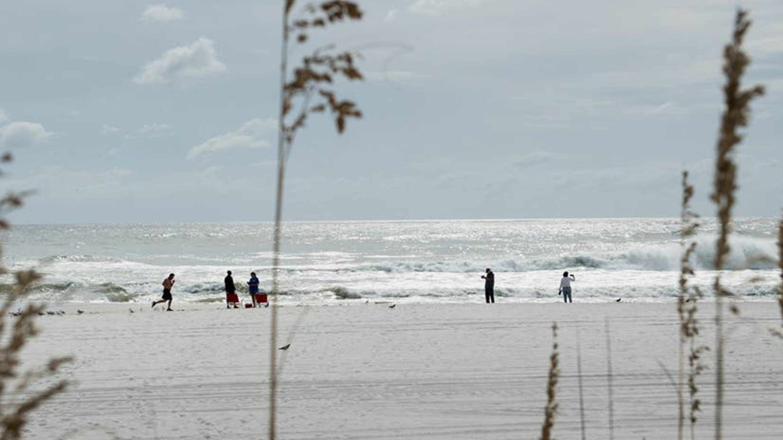 Father of 2 drowns after being caught in current trying to rescue seagull caught in fishing line — Rosemount Community news